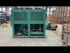 v نوع دوگانه