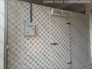 380V 220V Freezer Cold Room For Precise Temperature And Humidity Control