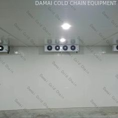 ISO Low Temperature Cold Room , Frozen Food Cold Room For Store Vegetables / Fruits