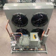 Compact Condenser Unit Air Cooled With Highly Rotary Inverter Compressor