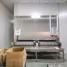 Refrigeration Equipment Quick Freezing Tunnel For Food Frozen Fish