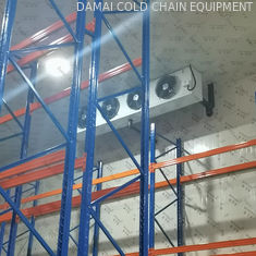 Walk In Freezer Cold Room Refrigeration System With Cooling System