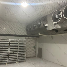 Walk In Cold Room Freezer