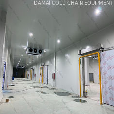 Industrial Cold Room 220V 380V Food Storage Cold Room Low Temperature Preservation
