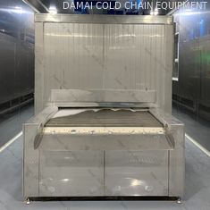 Customized Conveyor Quick Tunnel Freezer 1000kg/H Individual Quick Freezing Machine