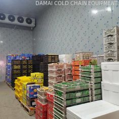 Microcomputer Cold Storage Room For Fruits And Vegetables With -20°C To 10°C Temperature Range