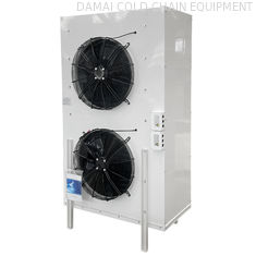 2 Fan Quantity Standing Cold Room Evaporator with Horizontal Air Flow and Customizable Temperature