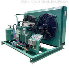Cooling system Air Cooled Condensing Units for walk in cooler freezer room cold storage room