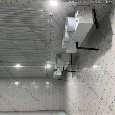 380V 220V Freezer Cold Room For Precise Temperature And Humidity Control