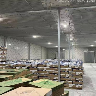Fruit / Vegetable Freezer Cold Room Cold Storage Units For Fresh Keeping / Freezing