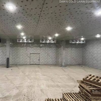 Customization Cold Room Walk In Freezer For Cooling System Refrigeration cooler