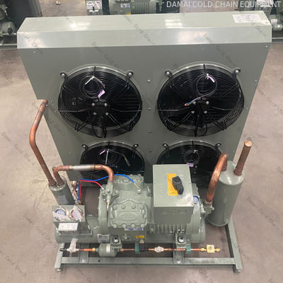 Compact Condenser Unit Air Cooled With Highly Rotary Inverter Compressor