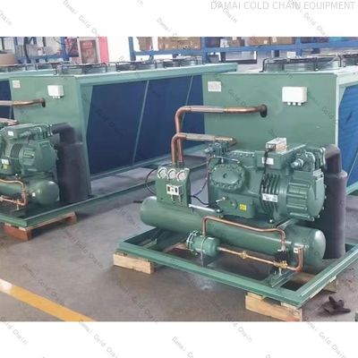 Inverter Compressor Condensing Unit With CAREL Microprocessor Controller