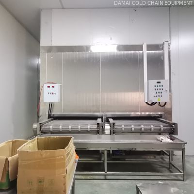Refrigeration Equipment Quick Freezing Tunnel For Food Frozen Fish