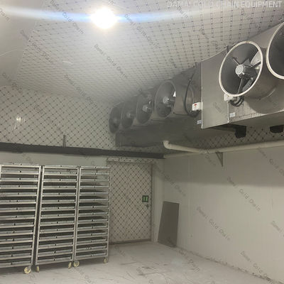 Walk In Cold Room Freezer