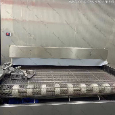 Versatile IQF Tunnel Freezer 1000kg/h With Direct Expansion Cooling System