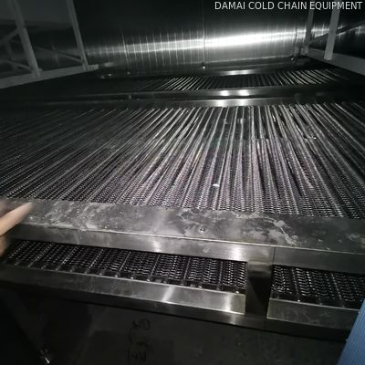 Versatile IQF Tunnel Freezer 1000kg/h With Direct Expansion Cooling System