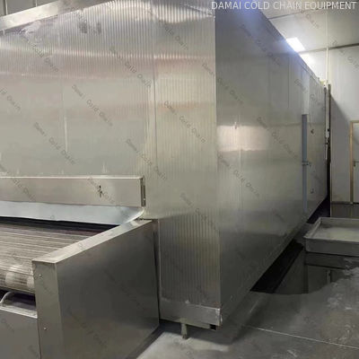 High Accuracy Quick Tunnel Freezer Customized Dimension 1 Year Warranty