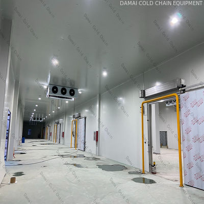 Industrial Cold Room 220V 380V Food Storage Cold Room Low Temperature Preservation