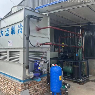 Industrial Cold Room 220V 380V Food Storage Cold Room Low Temperature Preservation