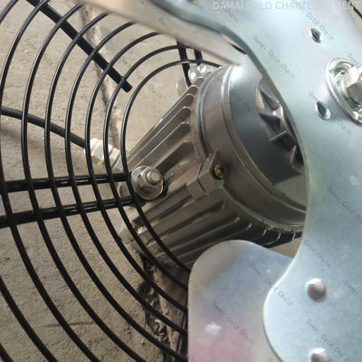 Stainless Steel IQF Tunnel Freezer Customized Individual Quick Freezing Equipment
