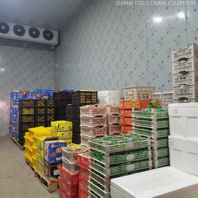 Microcomputer Cold Storage Room For Fruits And Vegetables With -20°C To 10°C Temperature Range
