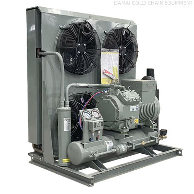 Air-Cooled Condenser and Water-Cooled Refrigerant Way Freezer Room Condensing Unit for Cold Room