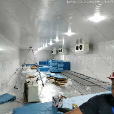 Walk In Cold Room Freezer